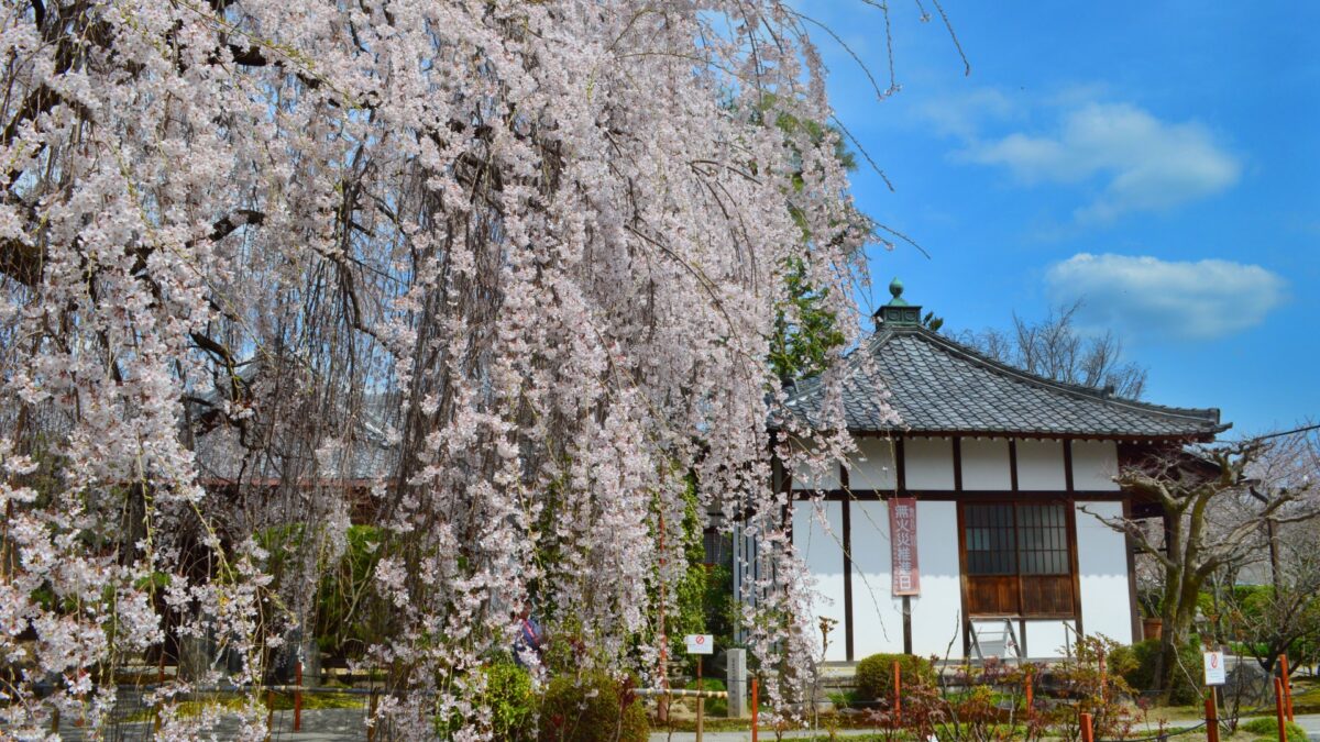 本満寺(ほんまんじ)